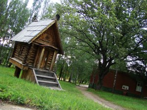 Сказочная избушка и дуб